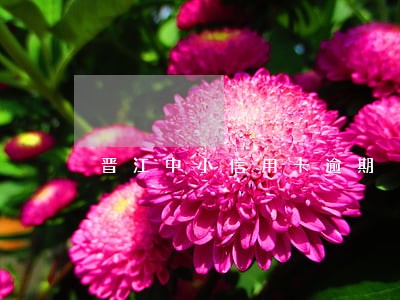 晋江中小信用卡逾期 晋江中小信用卡逾期