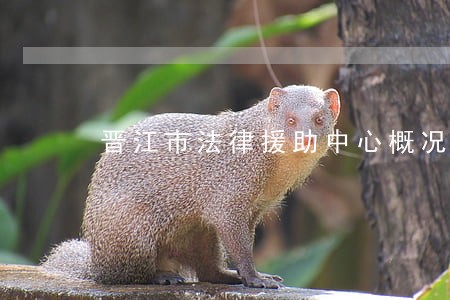 晋江市法律援助中心概况 晋江市法律援助中心概况