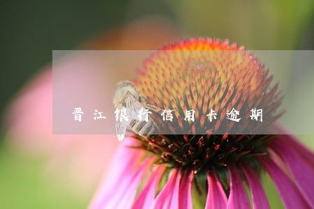 晋江银行信用卡逾期 晋江银行信用卡逾期