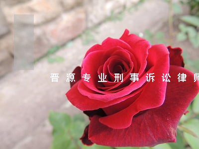 晋源专业刑事诉讼律师