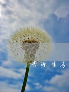 晋源债务债权案件律师电话多少 晋源债务债权案件律师电话多少