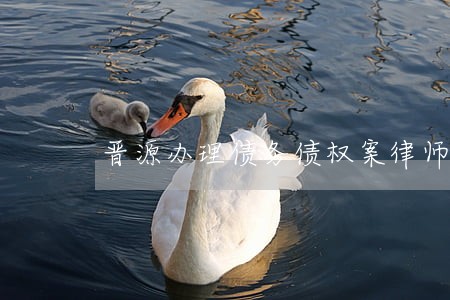 晋源办理债务债权案律师谁家好 晋源办理债务债权案律师谁家好