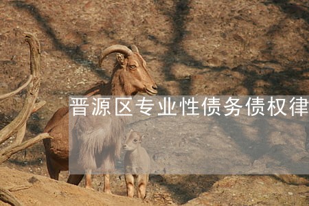 晋源区专业性债务债权律师 晋源区专业性债务债权律师