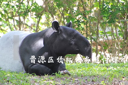 晋源区债权债务追讨律师 晋源区债权债务追讨律师