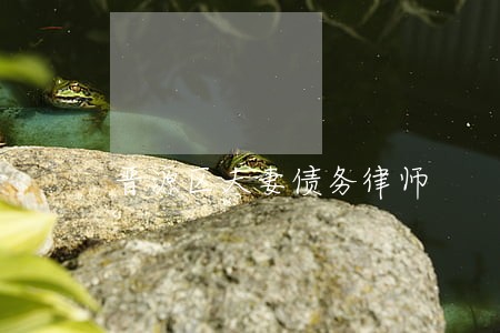 晋源区夫妻债务律师 晋源区夫妻债务律师