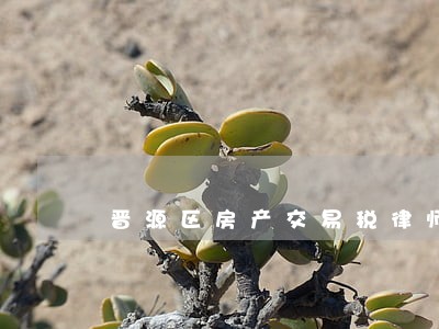 晋源区房产交易税律师 晋源区房产交易税律师