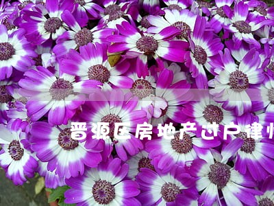晋源区房地产过户律师 晋源区房地产过户律师