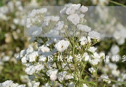 晋源区找债务清偿律师多少钱 晋源区找债务清偿律师多少钱