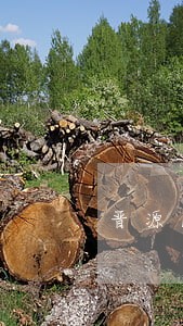 晋源区林权侵占律师 晋源区林权侵占律师