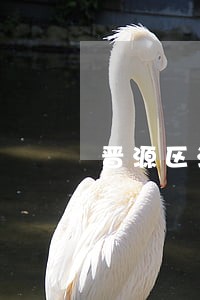 晋源区法律咨询热线 晋源区法律咨询热线