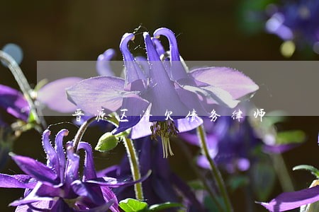 晋源区清欠债务律师 晋源区清欠债务律师