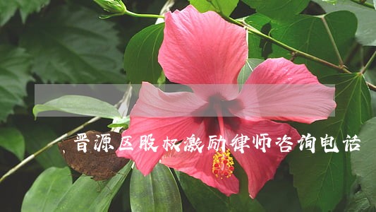 晋源区股权激励律师咨询电话 晋源区股权激励律师咨询电话