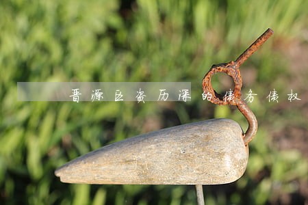 晋源区资历深的债务债权案律师 晋源区资历深的债务债权案律师