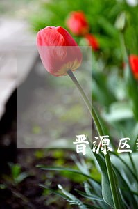 晋源区逾期申报收费套餐 晋源区逾期申报收费套餐