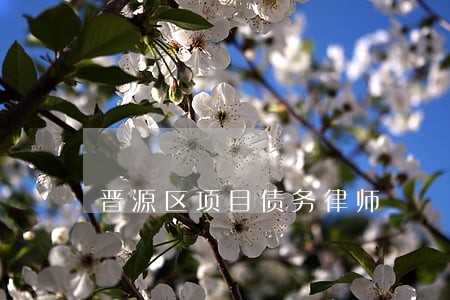 晋源区项目债务律师 晋源区项目债务律师