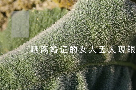 晒离婚证的女人丢人现眼 晒离婚证的女人丢人现眼