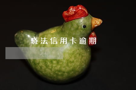 晓法信用卡逾期 晓法信用卡逾期