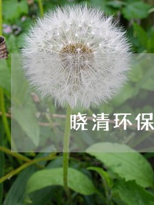 晓清环保合法合规法律意见书