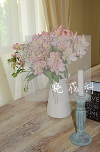 晓花科技逾期能协商吗 晓花科技逾期能协商吗