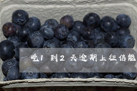 晚1到2天逾期上征信能解决吗 晚1到2天逾期上征信能解决吗