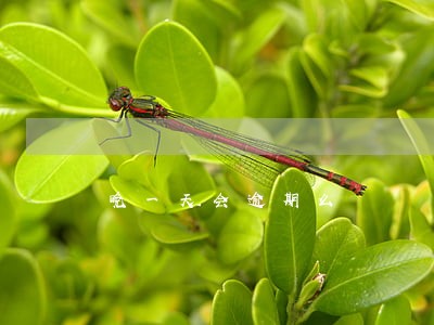 晚一天会逾期么 晚一天会逾期么