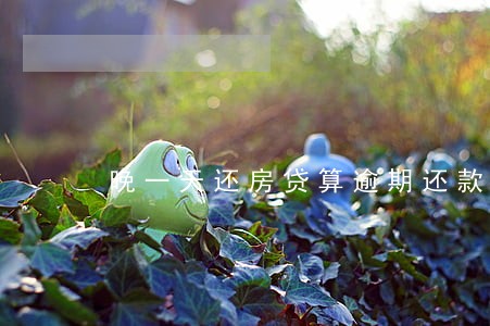 晚一天还房贷算逾期还款吗 晚一天还房贷算逾期还款吗