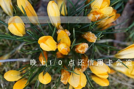 晚上10点还信用卡会逾期吗 晚上10点还信用卡会逾期吗