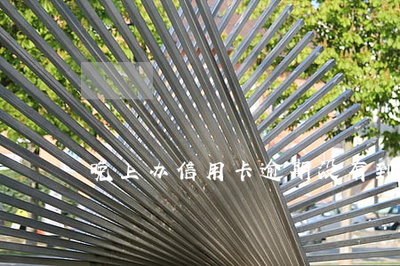 晚上办信用卡逾期没有到网点 晚上办信用卡逾期没有到网点