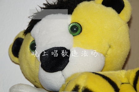 晚上唱歌违法吗 晚上唱歌违法吗