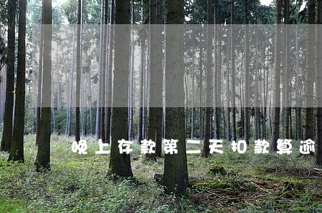 晚上存款第二天扣款算逾期吗 晚上存款第二天扣款算逾期吗