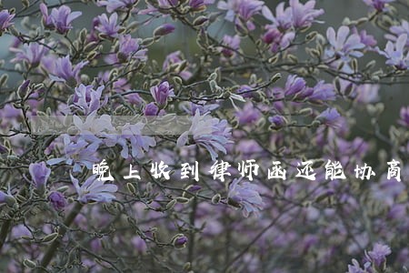 晚上收到律师函还能协商吗 晚上收到律师函还能协商吗