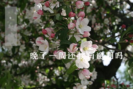 晚了一周还款有逾期吗 晚了一周还款有逾期吗