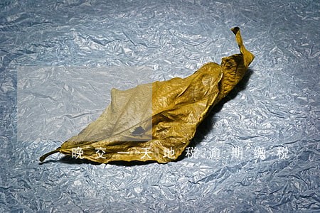 晚交一天地税逾期缴税 晚交一天地税逾期缴税