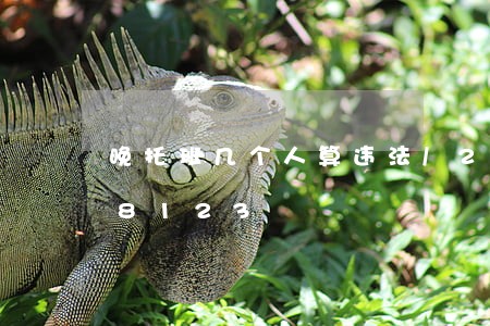 晚托班几个人算违法/2023020548123 晚托班几个人算违法/2023020548123