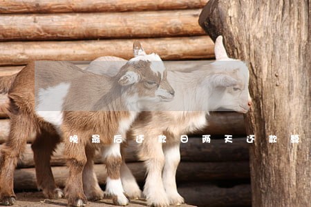 晚最后还款日两天还款算逾期吗 晚最后还款日两天还款算逾期吗
