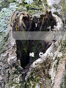 晚点付逾期2天会怎么样