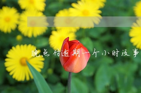 晚点付逾期一个小时没事吧 晚点付逾期一个小时没事吧