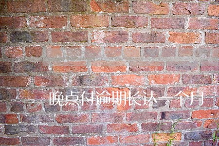 晚点付逾期长达一个月 晚点付逾期长达一个月