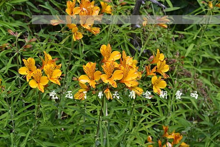 晚还了半天有逾期费吗 晚还了半天有逾期费吗