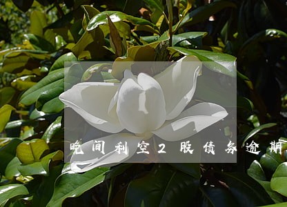 晚间利空2股债务逾期 晚间利空2股债务逾期