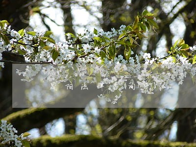 晟阳法律咨询中心 晟阳法律咨询中心