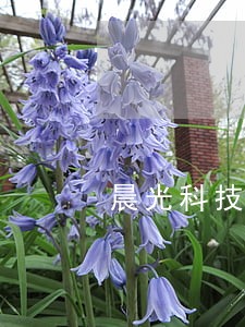 晨光科技信用逾期 晨光科技信用逾期