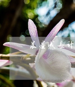 晨星成长计划只还本金服务费 晨星成长计划只还本金服务费