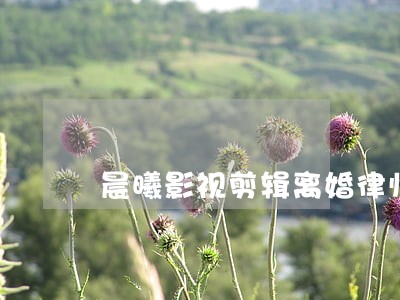晨曦影视剪辑离婚律师 晨曦影视剪辑离婚律师