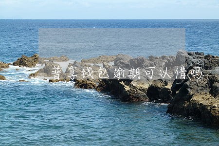 普享钱包逾期可以借吗 普享钱包逾期可以借吗