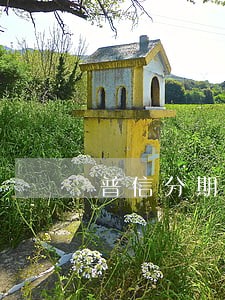 普信分期逾期20天后果 普信分期逾期20天后果