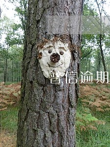 普信逾期不兑现可以报案 普信逾期不兑现可以报案