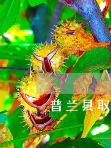 普兰县取保候审在线律师咨询 普兰县取保候审在线律师咨询
