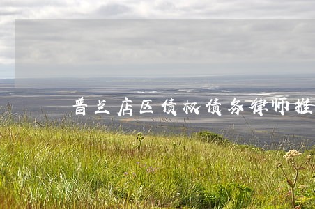 普兰店区债权债务律师推荐 普兰店区债权债务律师推荐