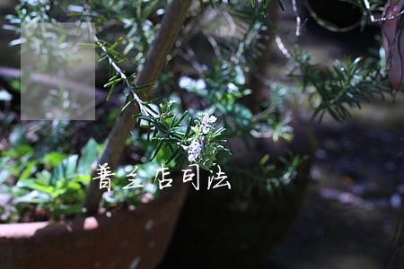 普兰店司法 普兰店司法